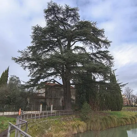 Le Splendid Pour Decouvrir La Ville Rose